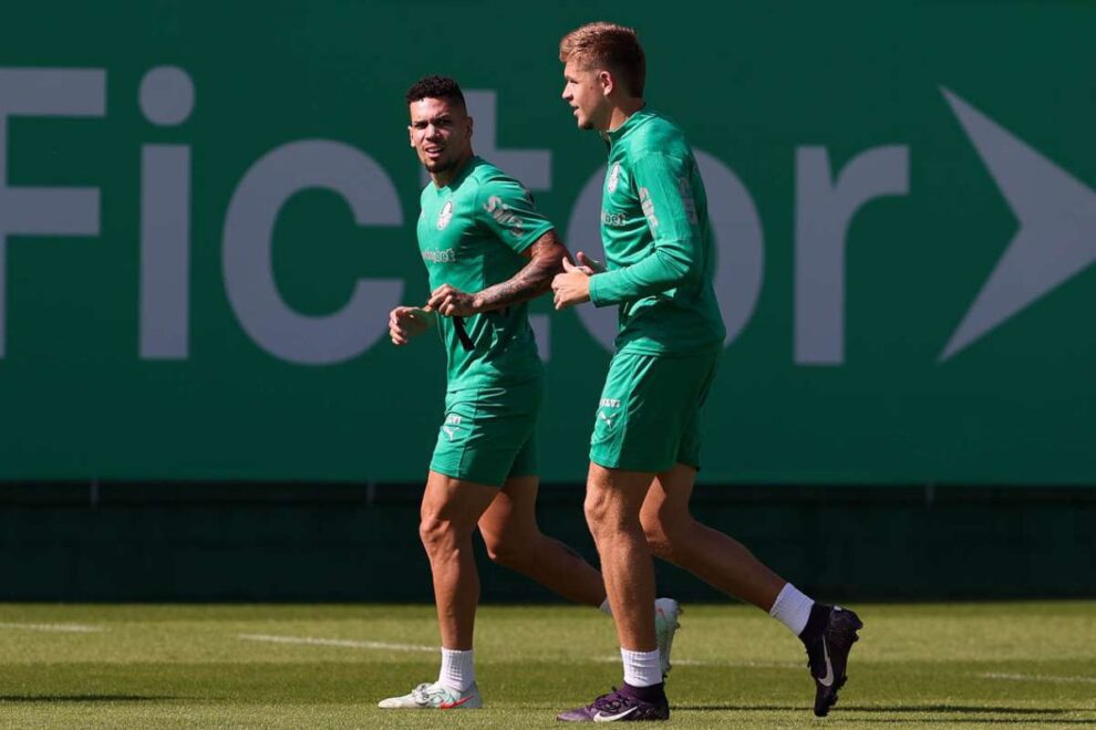 Palmeiras x Bolívar tudo o que você precisa saber sobre o jogo