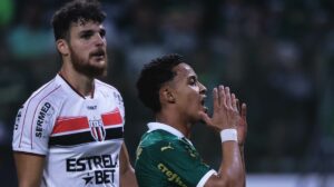 Botafogo-SP x Palmeiras AO VIVO