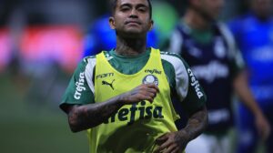 Confira tudo sobre Dudu no Palmeiras