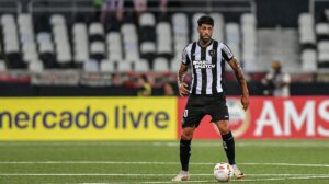 Barboza deveria ser expulso em Botafogo x Palmeiras segundo torcida