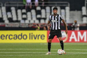 Barboza deveria ser expulso em Botafogo x Palmeiras segundo torcida